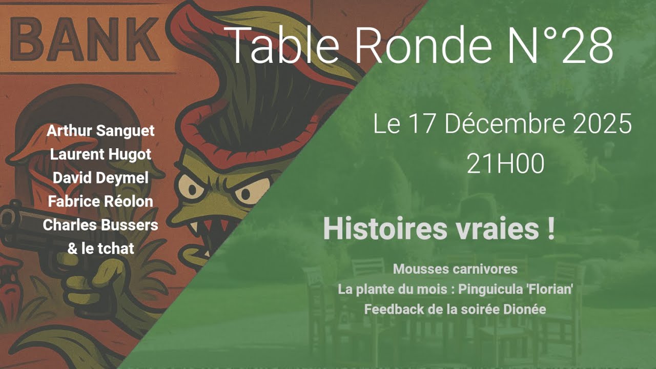 Table Ronde N°28 du 17 Décembre 2025 : Histoires vraies
