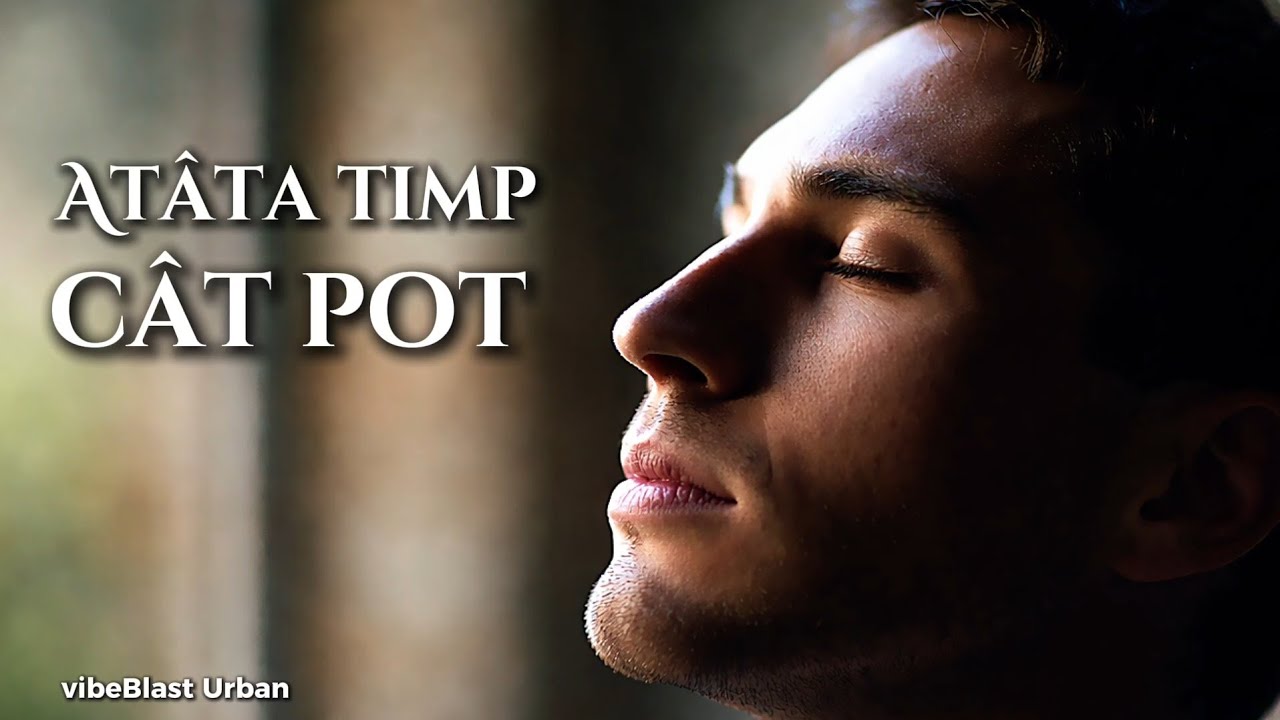 Atata timp cat pot – VibeBlast Urban | Melodie motivațională despre recunoștință