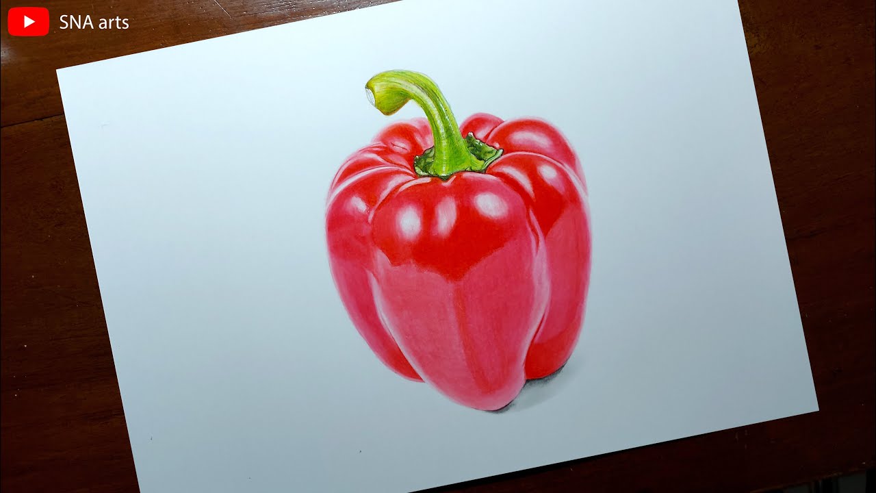 Drawing Realistic Red Bell Pepper With Color Pencils || First Time Using Arteza