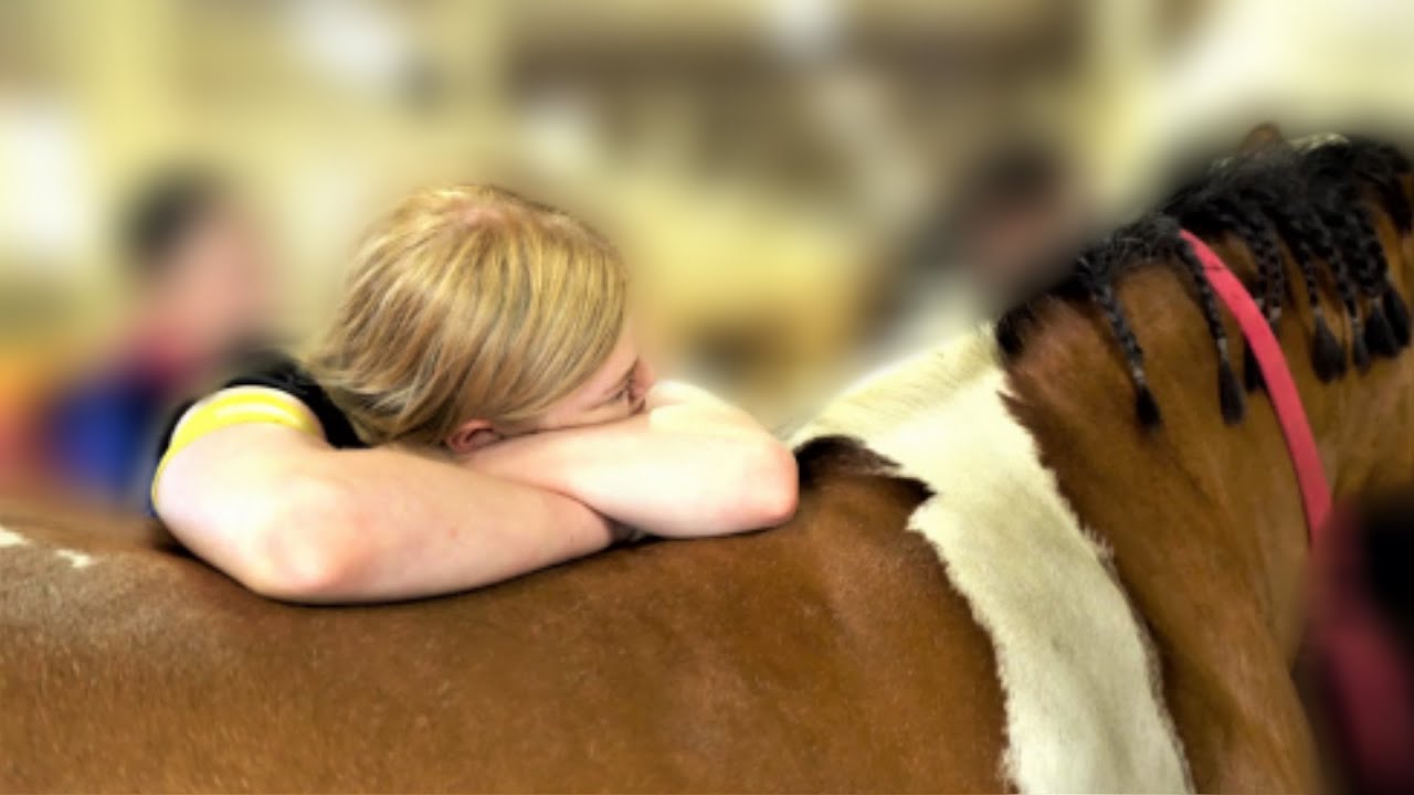Camp Horses - Obozy konne | Camport