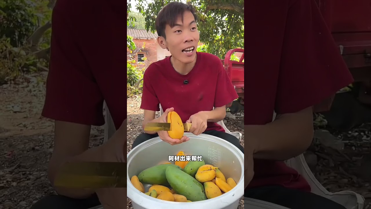 Revolutionary Rural Cuisine: Yangzhi Ganlu's Delightful Secrets Unveiled
