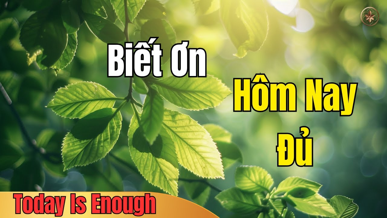 Biết Ơn Vì Hôm Nay Vẫn Có Đủ Những Điều Rất Cơ Bản | Giàu Tỉnh Thức