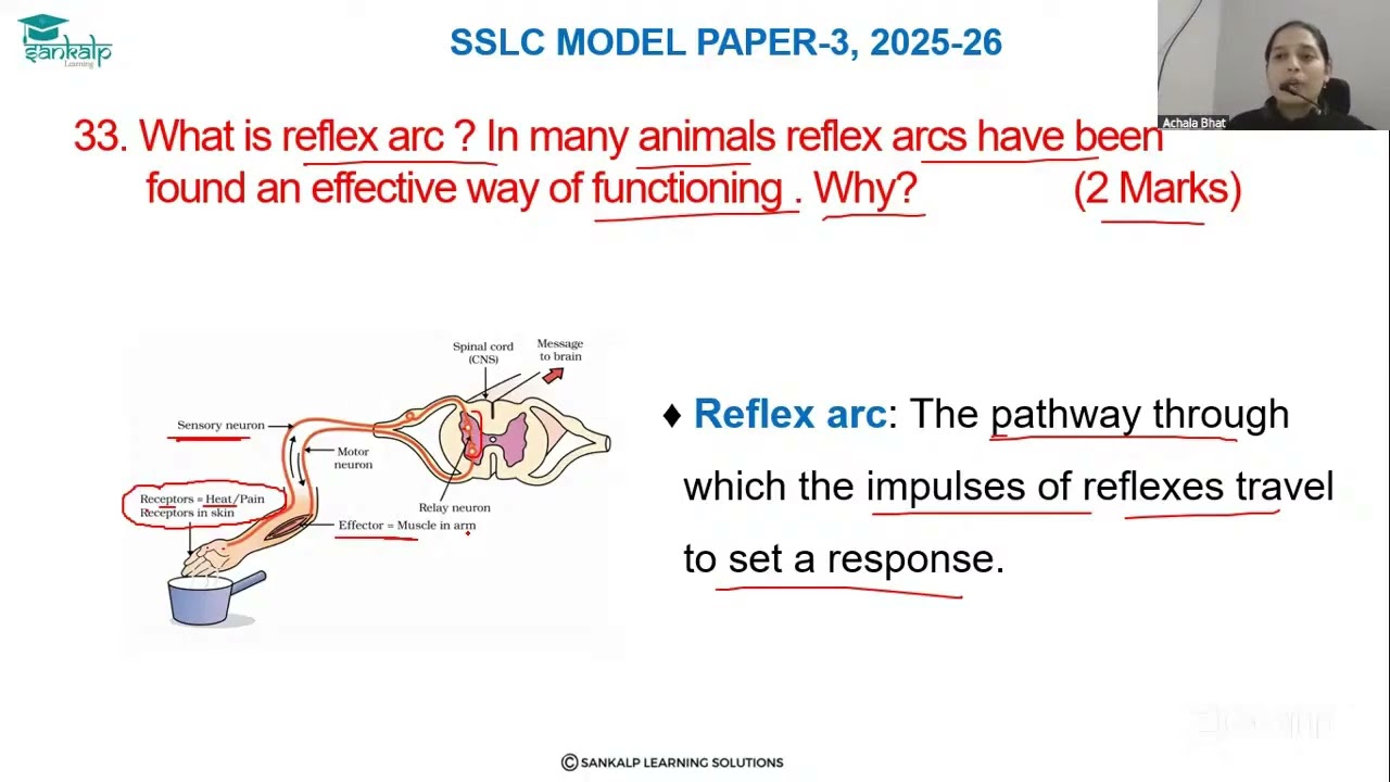 Model question paper 3 - Science - EM - Qno 33