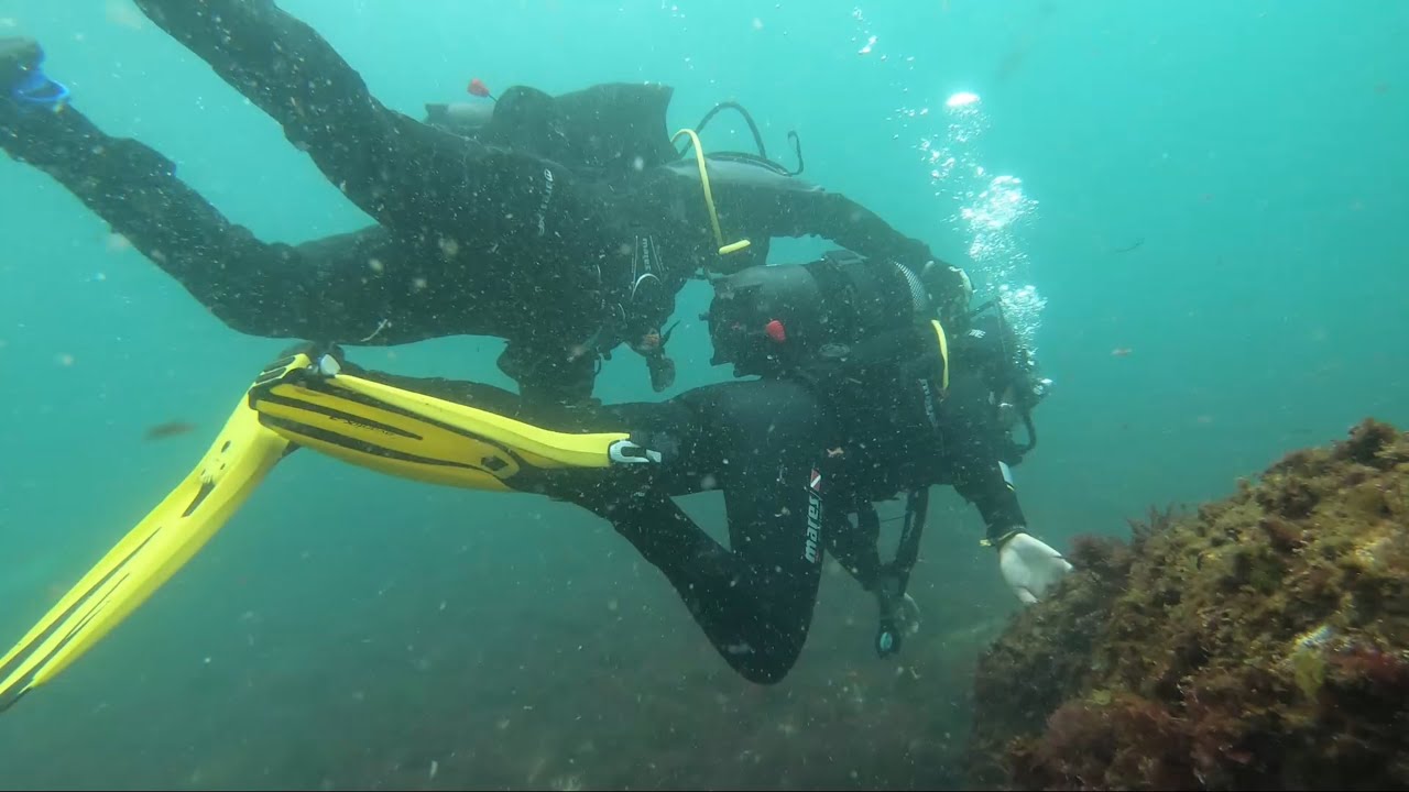 Batismo de mergulho Berlengas