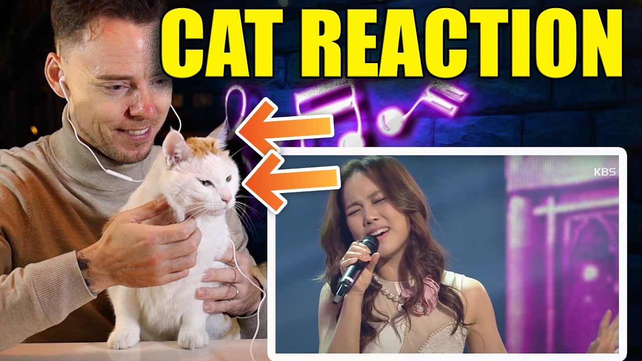 So Hyang Reaction | Bridge Over Troubled Water