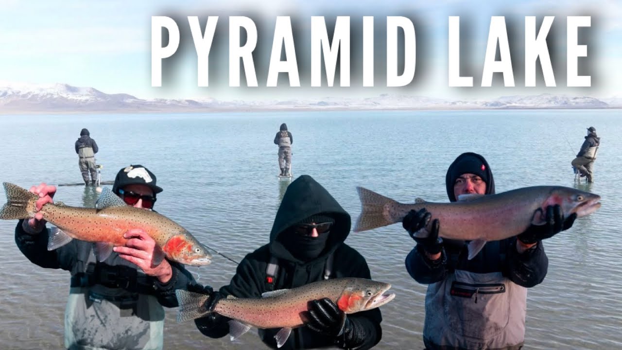 Fishing for Lahontan Cutthroat Trout | Pyramid Lake Day 1