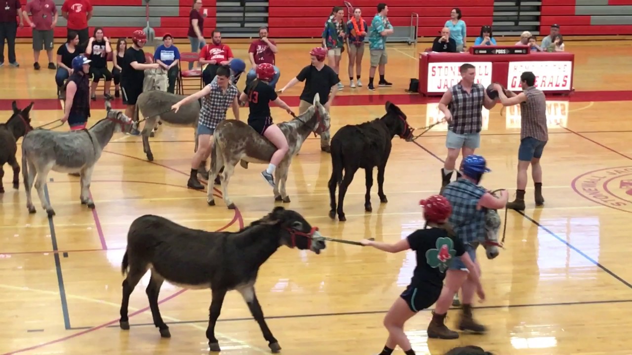 SJHS Donkey Basketball 2017