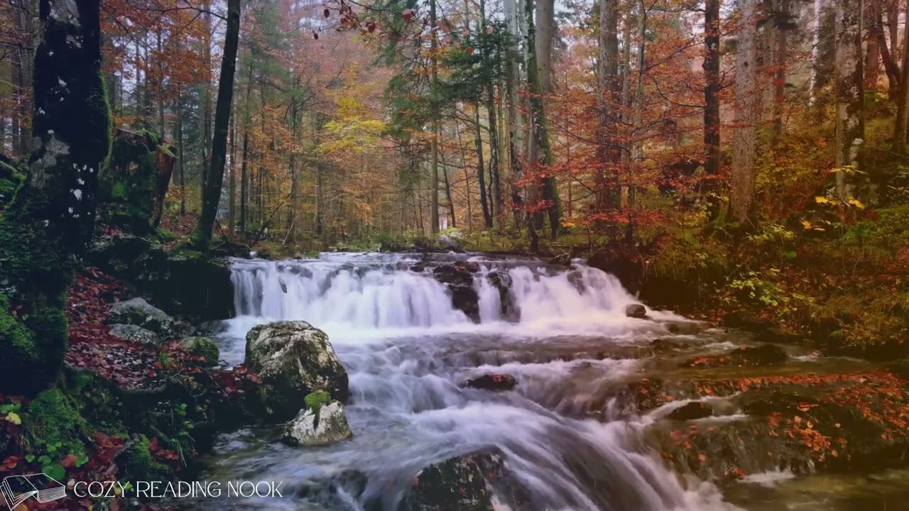 Forest Reading - Bird Song & Waterfall ambiance | 35 minutes of relaxing sounds for reading