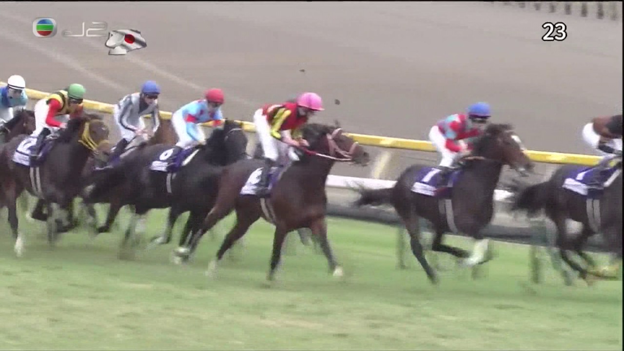 2016 日本盃 Japan Cup 北部玄駒 Kitasan Black キタサンブラック