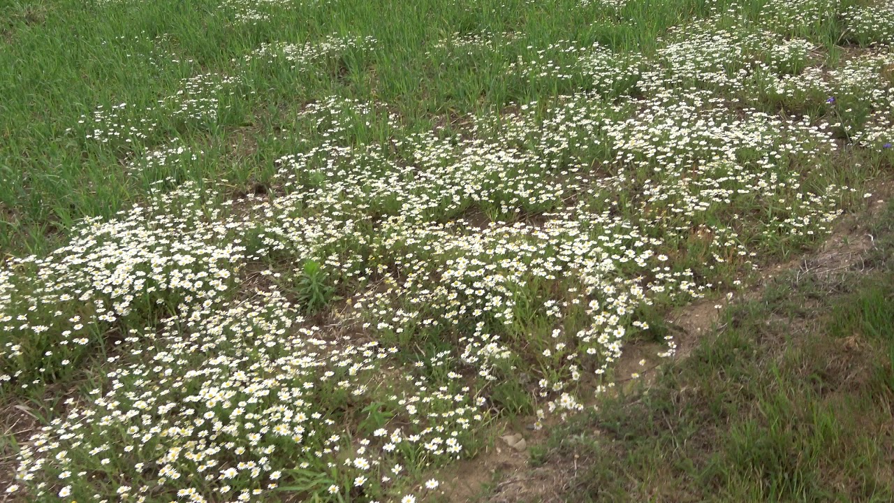 1 van mijn favoriete plekken in de omgeving van het Bergherbos.