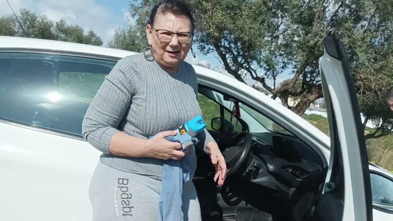 Limpieza del coche 🧽🚗