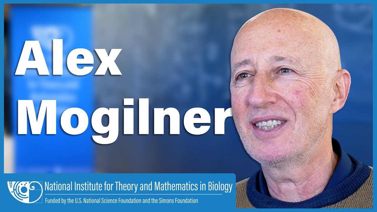 Harnessing AI and machine learning to drive discovery in cytoskeletal machines | Alex Mogilner