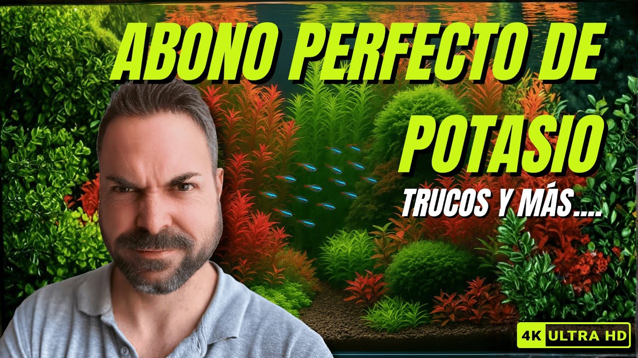 ¿OTRO VIDEO SOBRE POTASIO? ¡Sí, pero ESTE es diferente!💥