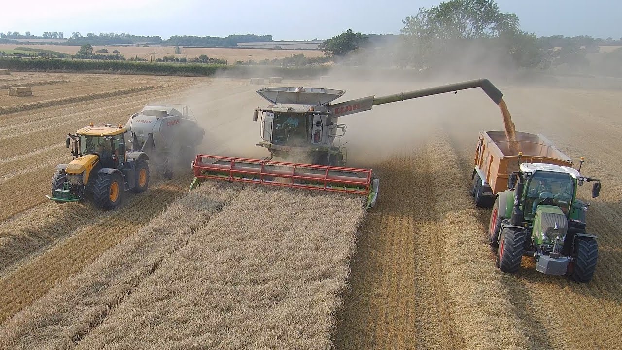 LAST DAY OF HARVEST