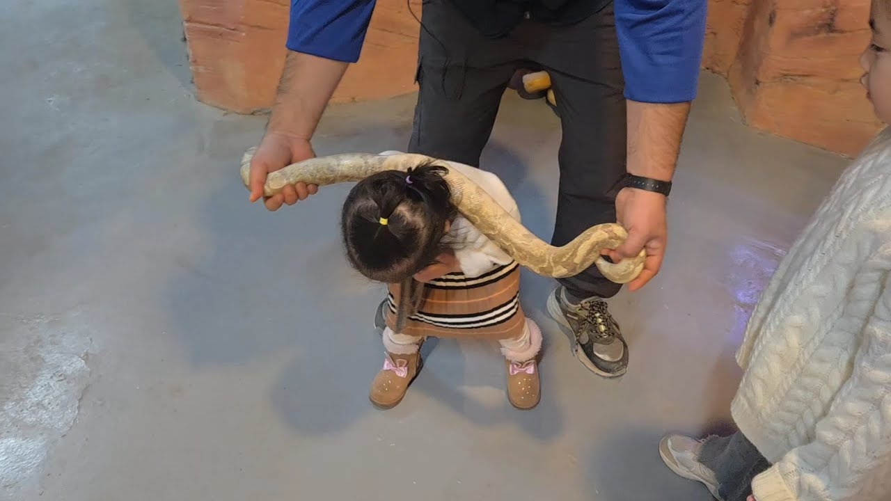 정글을 탐험하다