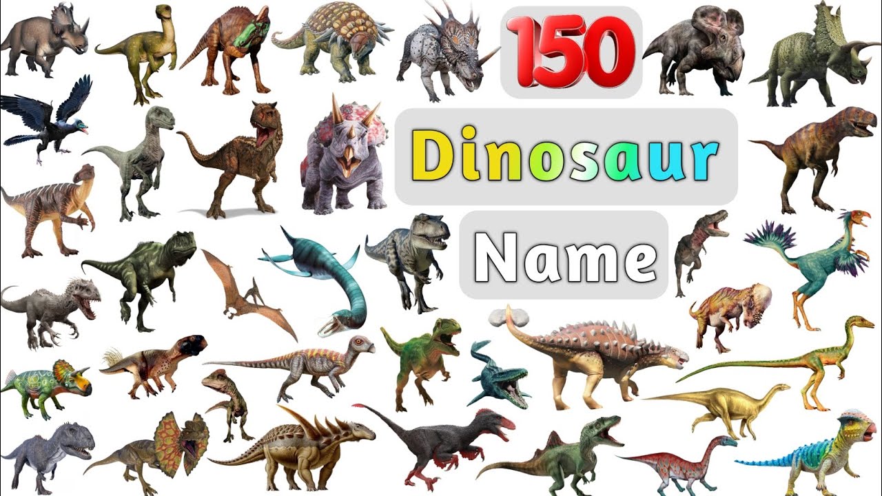 Dinosaurs Vocabulary ll 150 Dinosaurs Name in English With Pictures ll Amazing Dinosaurs Picturer