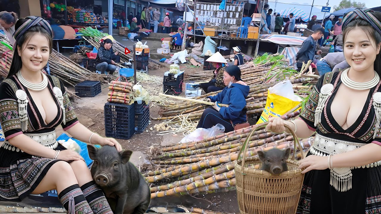 Chợ Phiên Tam Đường LAI CHÂU Phiên Chợ Đầu Năm Rất Nhộn Nhịp