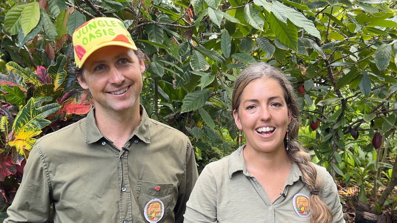 Discover Kīlauea Jungle Oasis | Exotic Fruit & Cacao Farm Tour