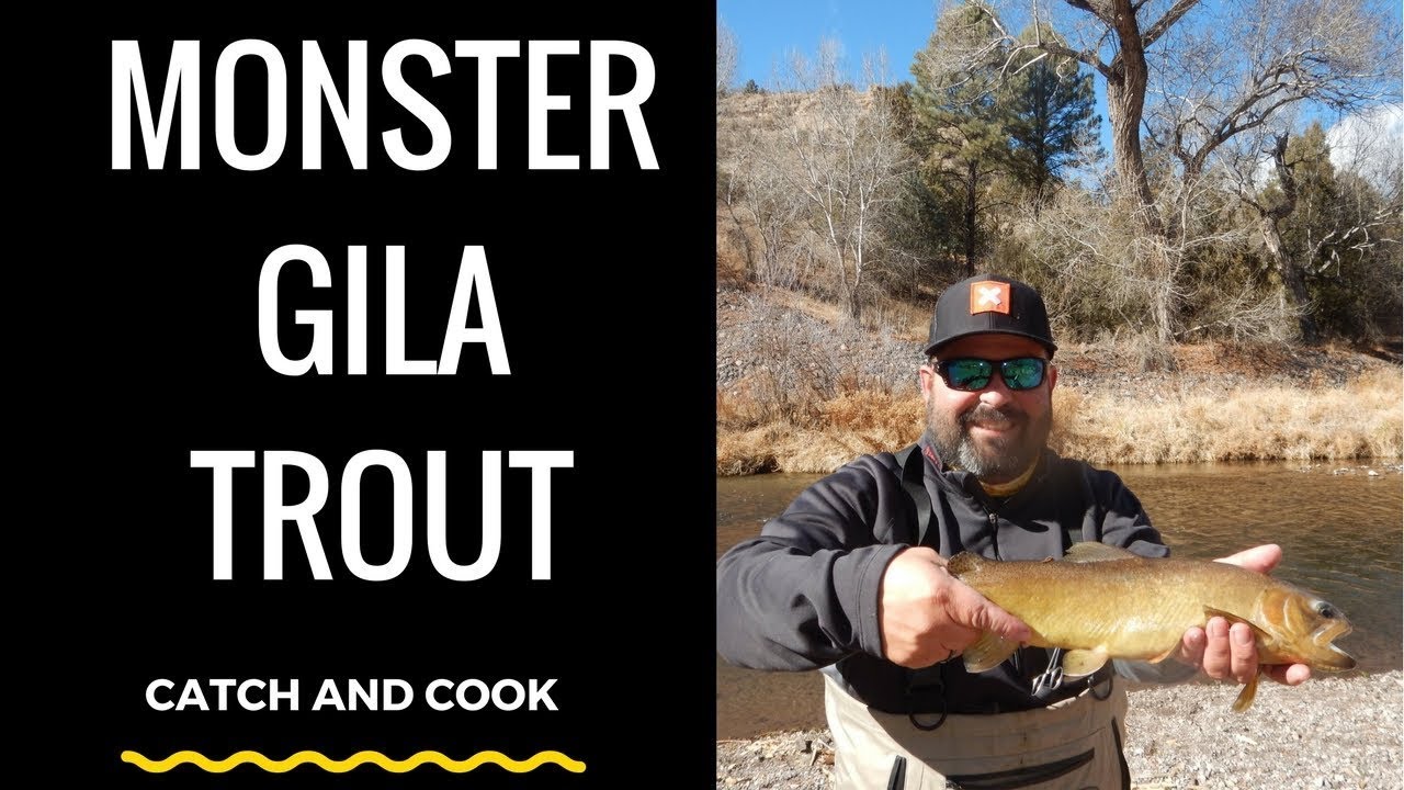 Catching BIG Native Trout!!