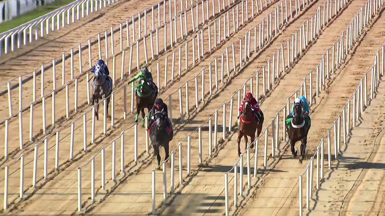 Grande Final do GP Turfe Gaúcho 2026 - 17hs