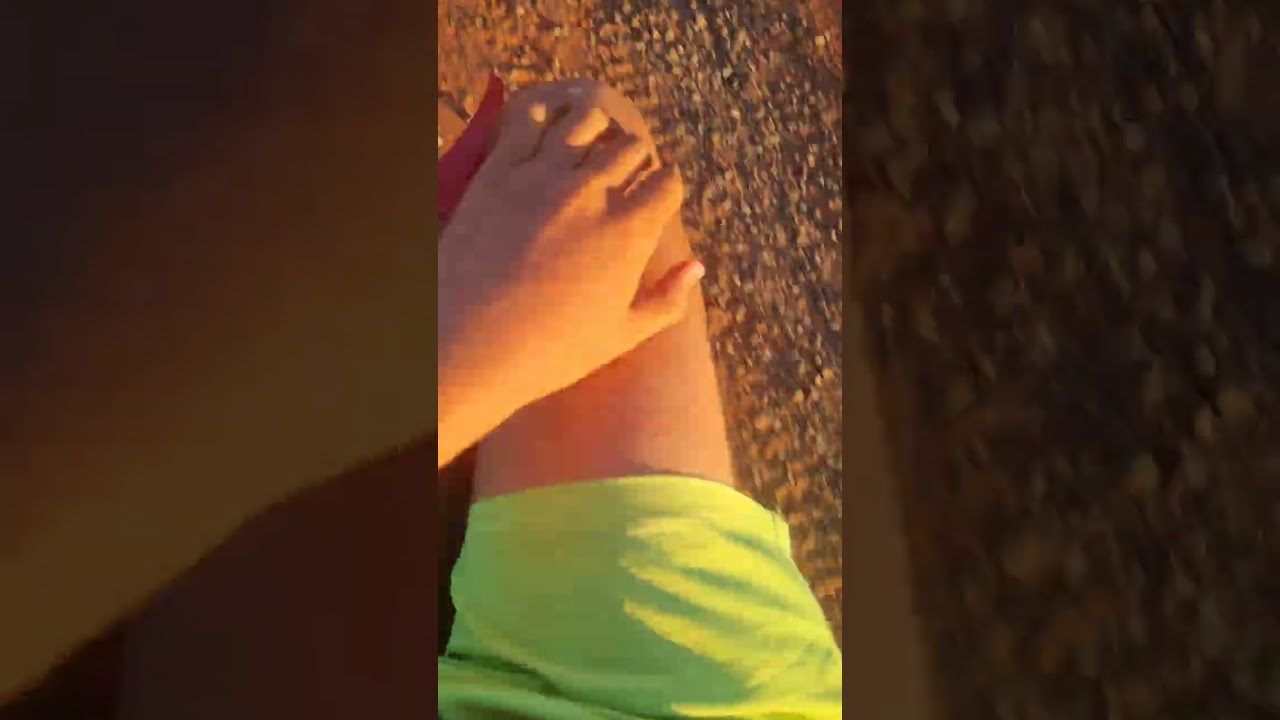 Novo video 