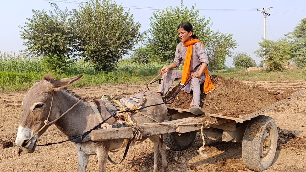 DONKEY CART RIDING WITH HEAVY LOAD | BOHAT MEHNAT KI | #vlog #villagelife #donkeycart