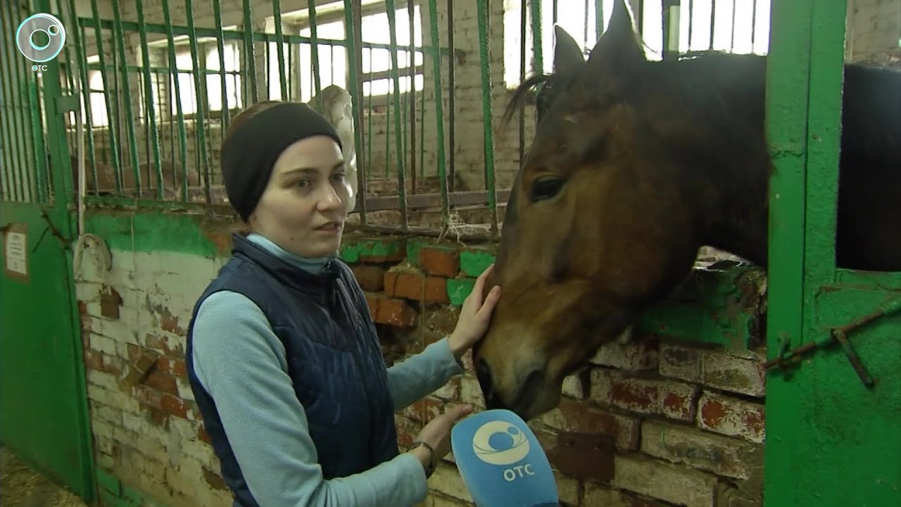 Новосибирский ипподром оказался в сложной ситуации. Откуда у предприятия миллионные долги?