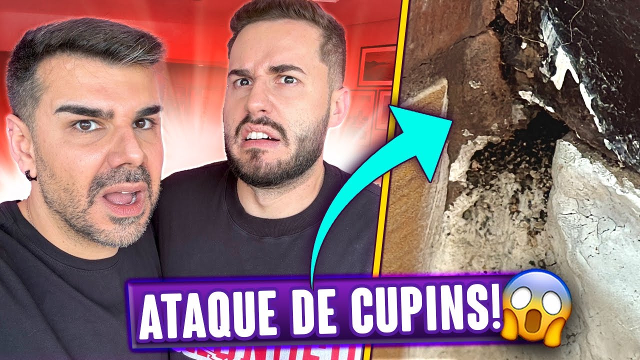 DEU CUPIM EM NOSSO APARTAMENTO E ESTAMOS DESESPERADOS!😫 – Titi Fabri