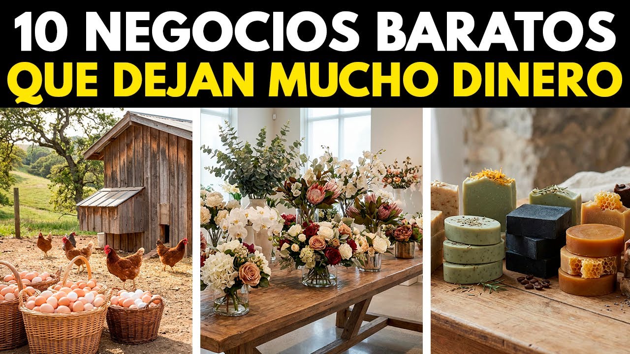 10 NEGOCIOS de BAJA INVERSIÓN con GANANCIAS ALTAS