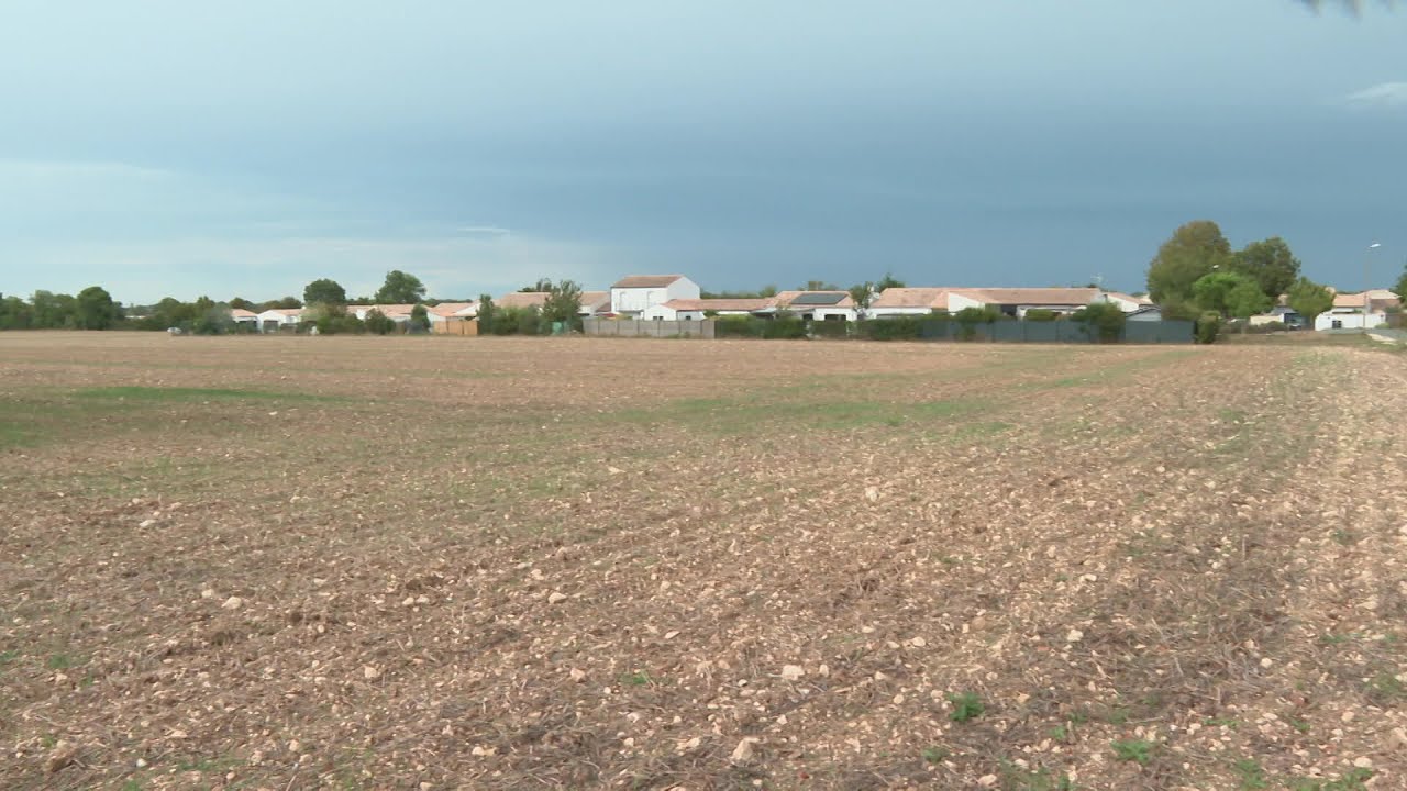 Pesticides : présence de substances toxiques utilisées par agriculteurs dans la Plaine d’Aunis
