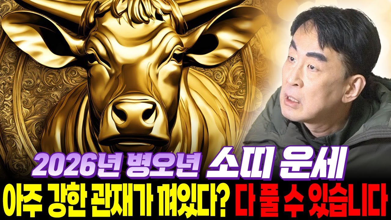 2026년 병오년 미리보는 소띠운세 