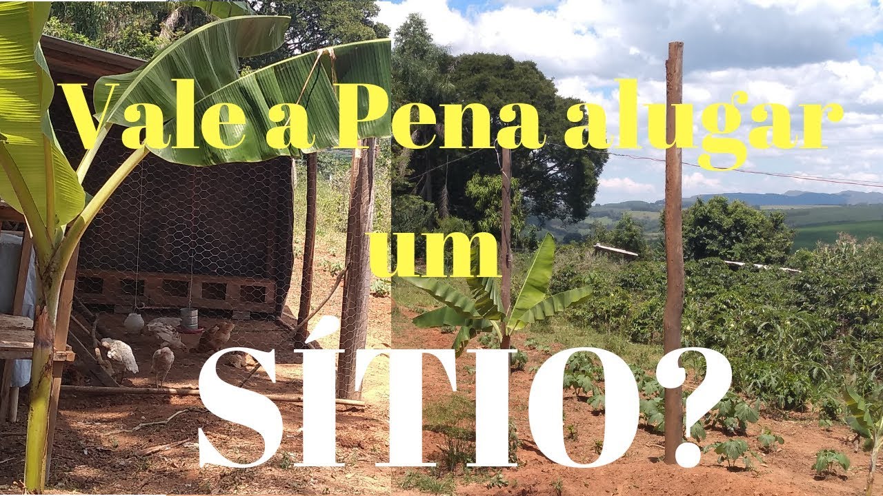 Vale a pena alugar um Terreno para montar sua Empresa de Produção de Verduras, Daniel Baroni