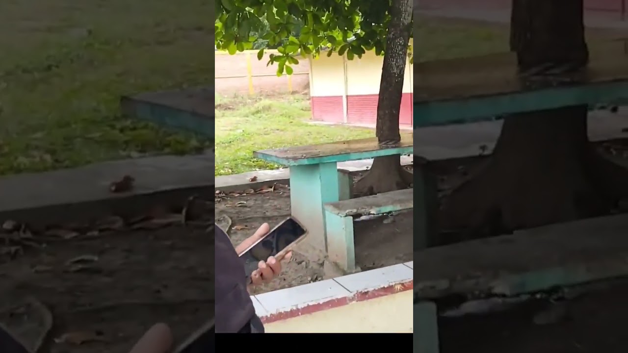 cuando el ayudante pide el dia, pero pasa a supervisar la obra