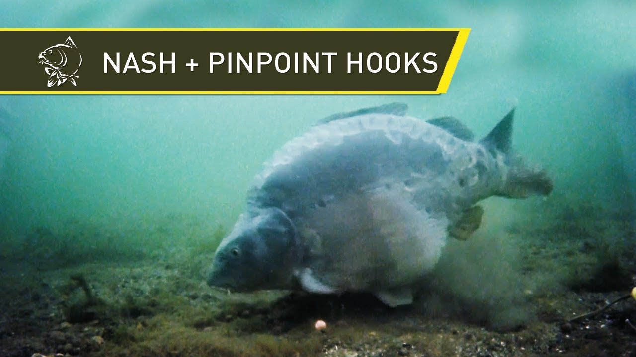 Nash Tackle - Pinpoint Hooks - Marc Voosen Interview with Alan Blair