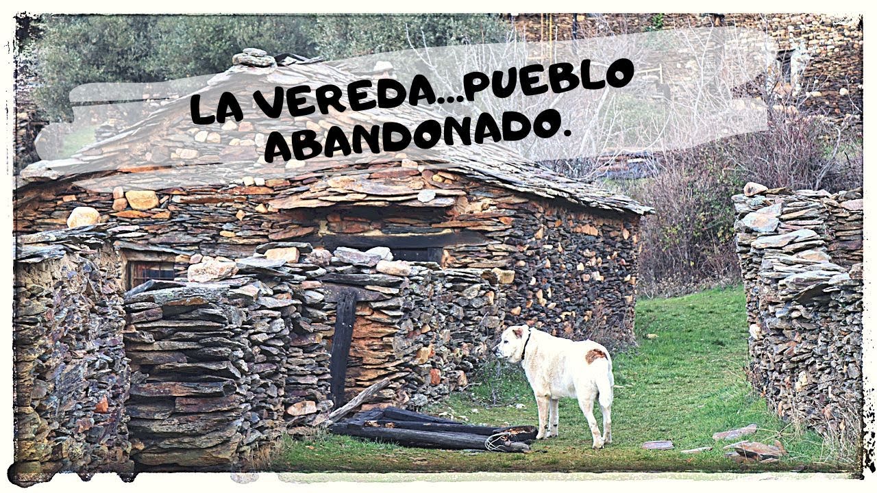 PUEBLO ABANDONADO🏔🏕 LA VEREDA 🏡 ENCUENTRO CON ANIMALES SALVAJES 🐗🦌🐐