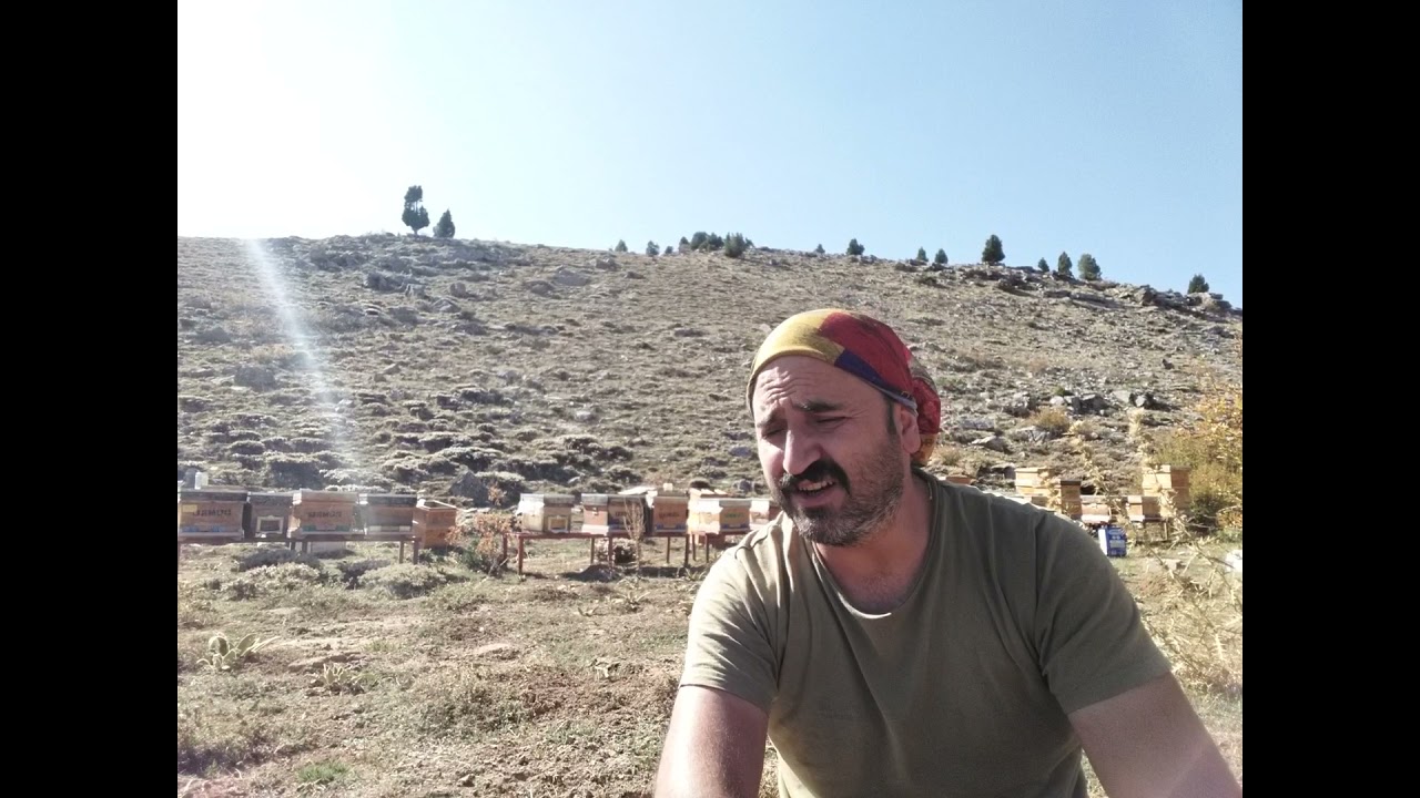 Teknik arıcılık hakkında bilgilendirme