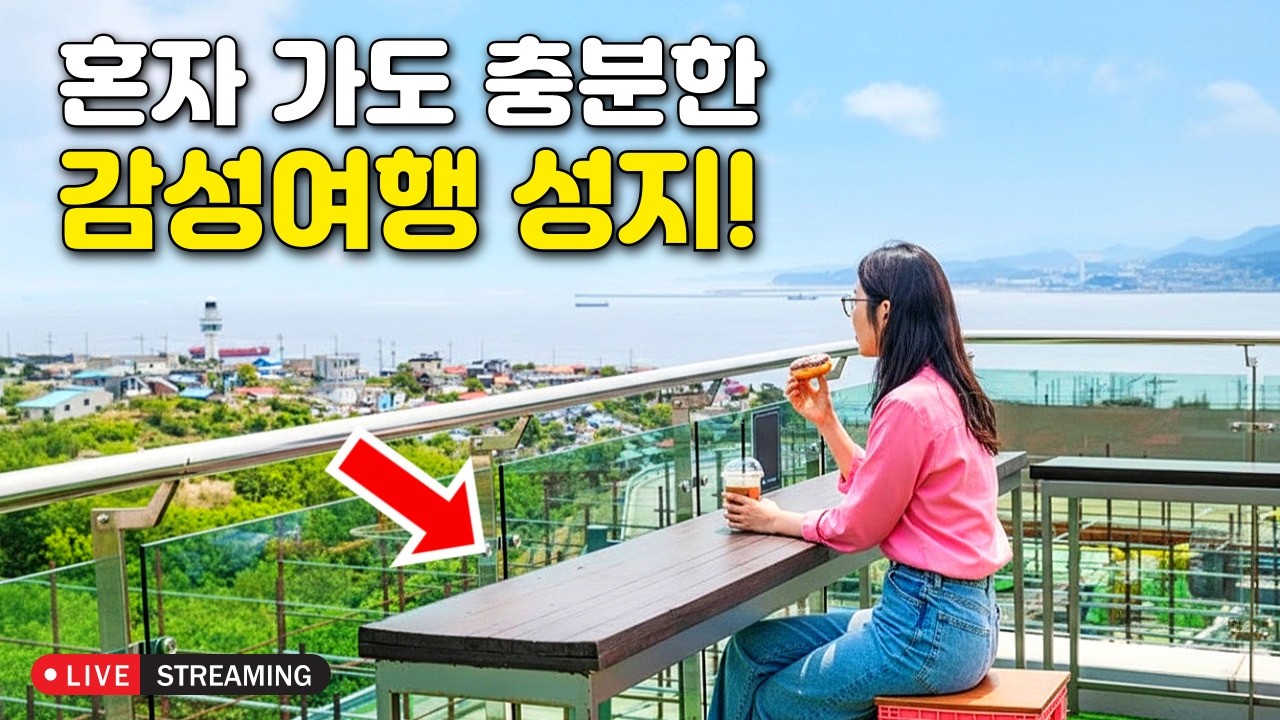 [라이브소통] 4년연속 선정 100선 선정! 150만명이 다녀간 일출명소 마을을 낭만기차와 함께 다녀오기ㅣ대중교통 당일치기 기차여행