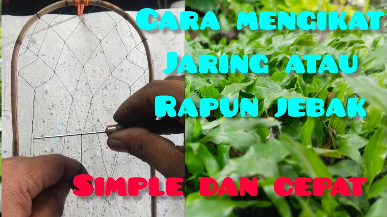 CARA MENGIKAT JARING||ATAU RAPUN JEBAK BURUNG