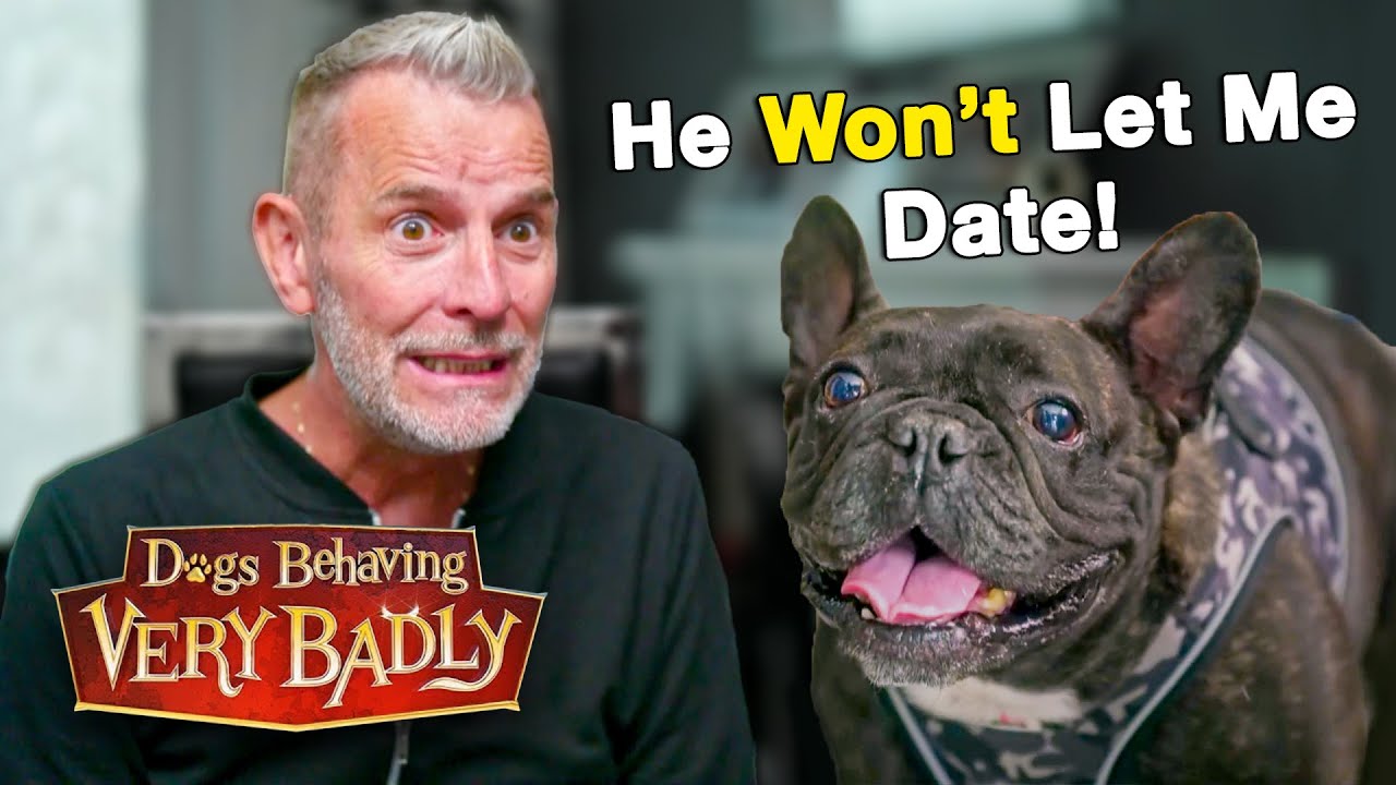 My French Bulldog Is Ruining My Love Life | Dogs Behaving Very Badly