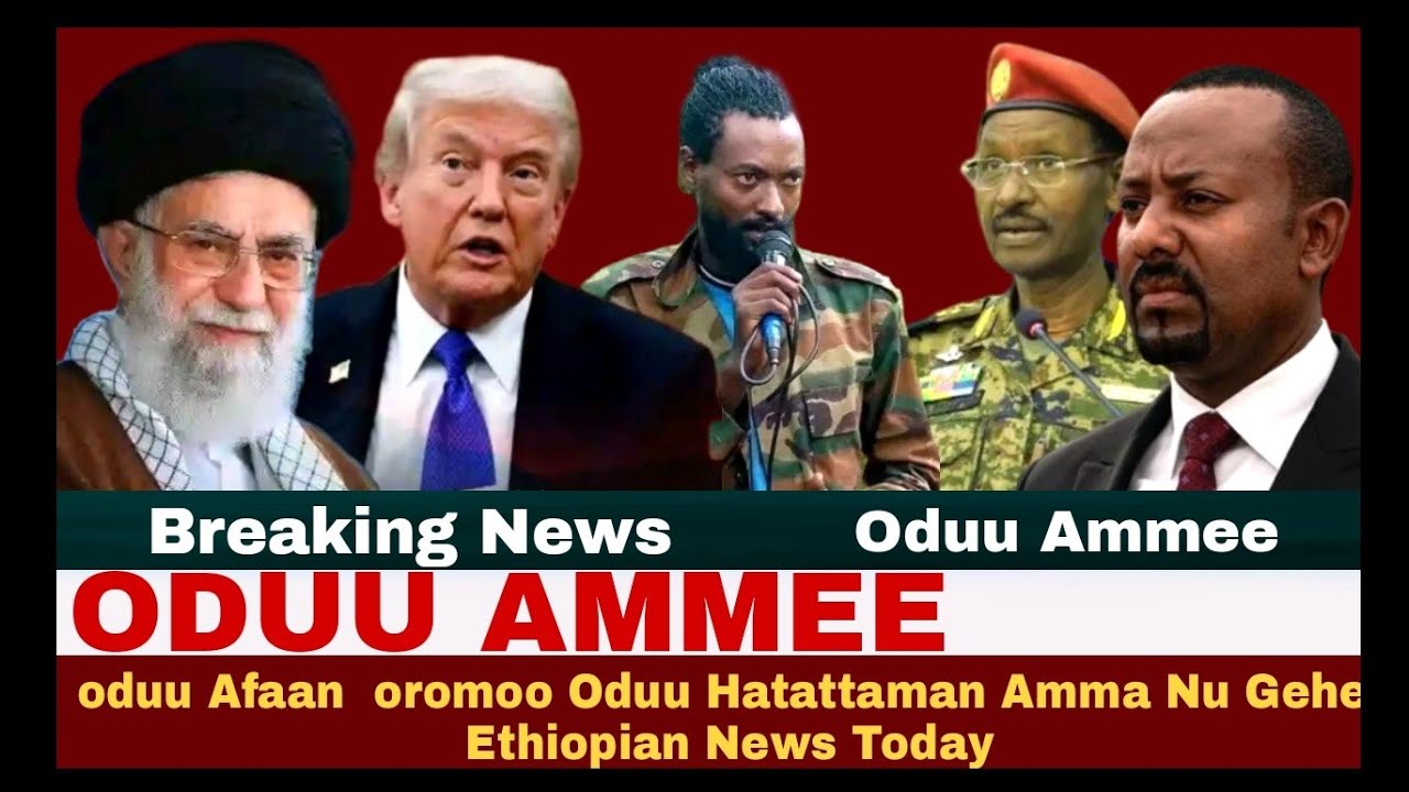 ODUU Ammee 21 January 2026 // 2026