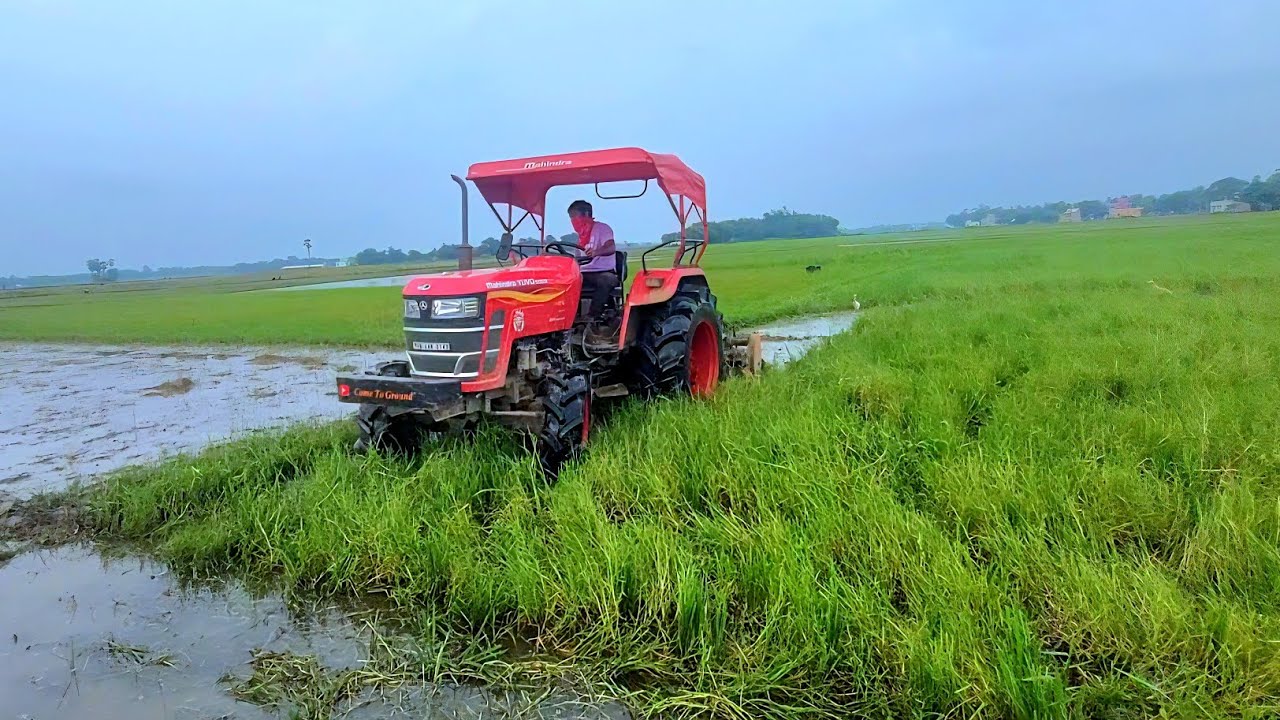 Paddy Season Start Ho Gaya 🔥🚜 |Mahindra yuvo 585 Extreme Performance 🔥