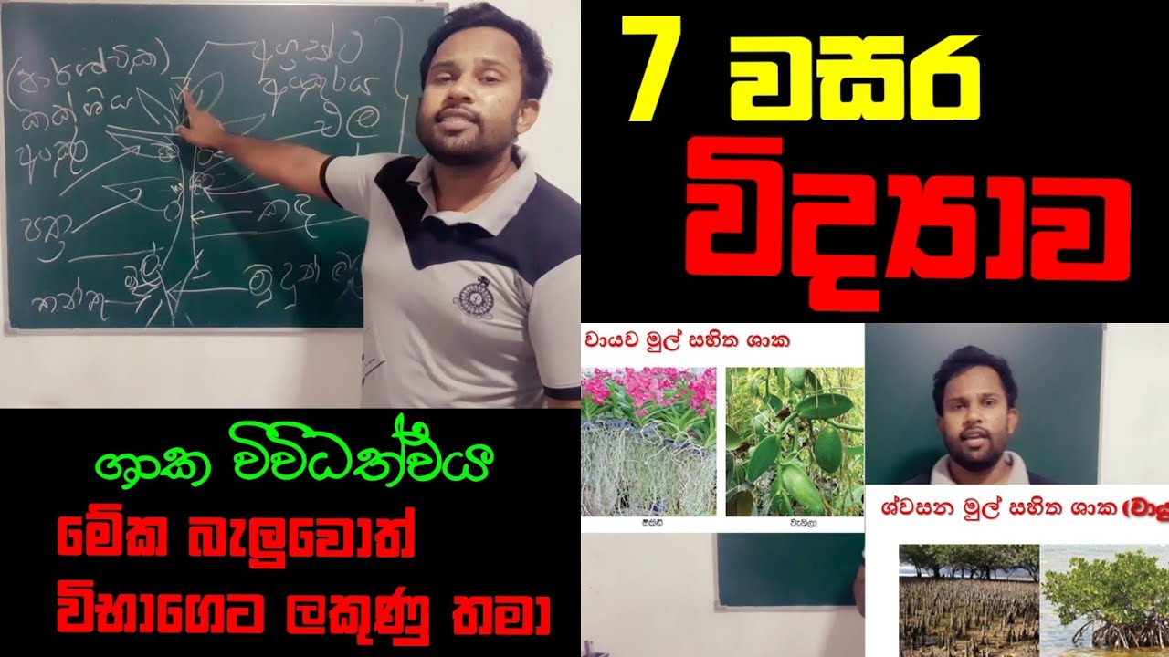 Grade 7 Science Unit|Grade 7 Science lessons in sinhala|Clear explanations|2021|Online science Class