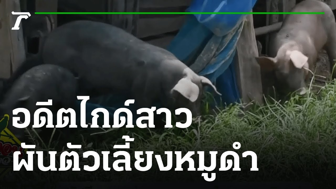 อดีตไกด์สาวผันเลี้ยง 