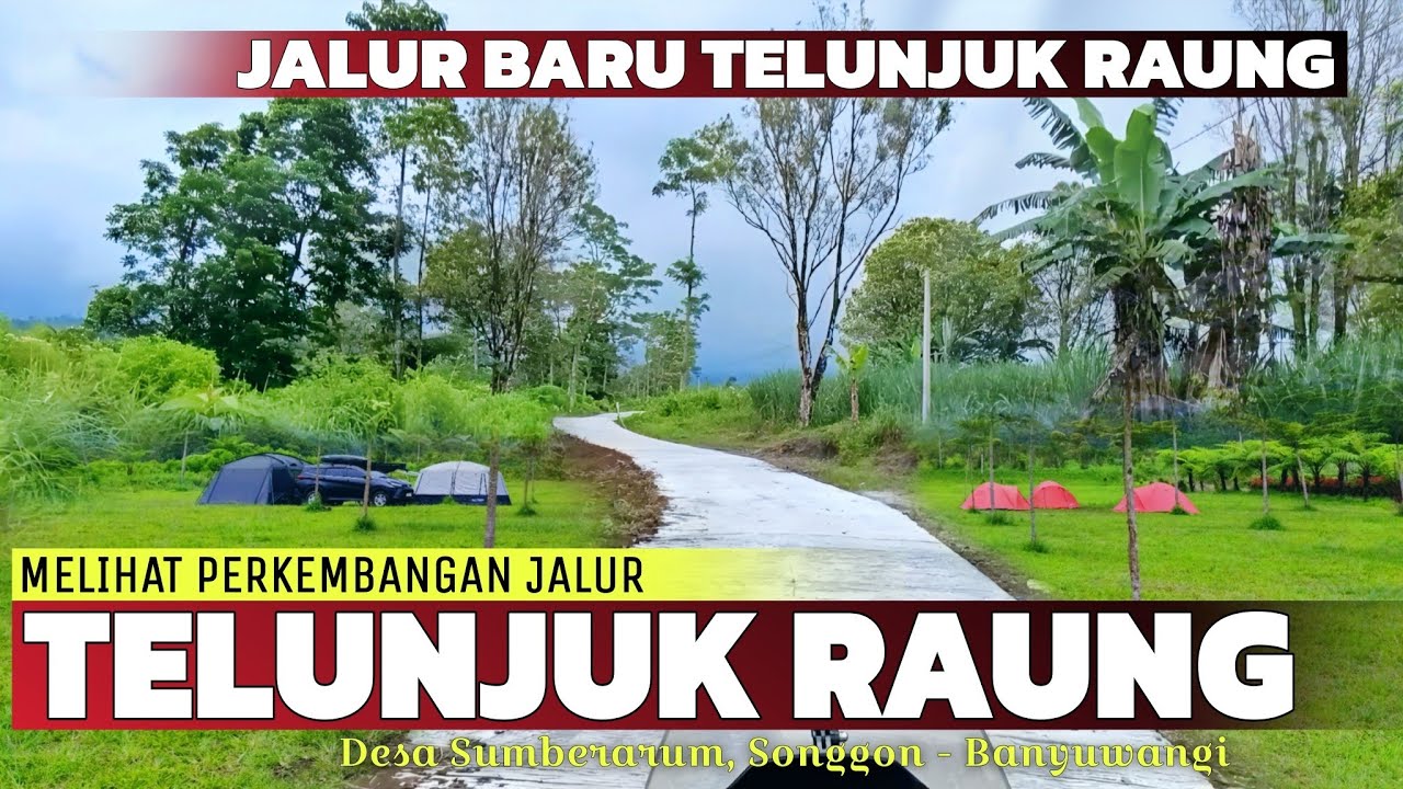 Sudah Beton 1600 Meter !!! Menyusuri Indahnya Jalur Menuju Wisata Telunjuk Raung Banyuwangi Terbaru
