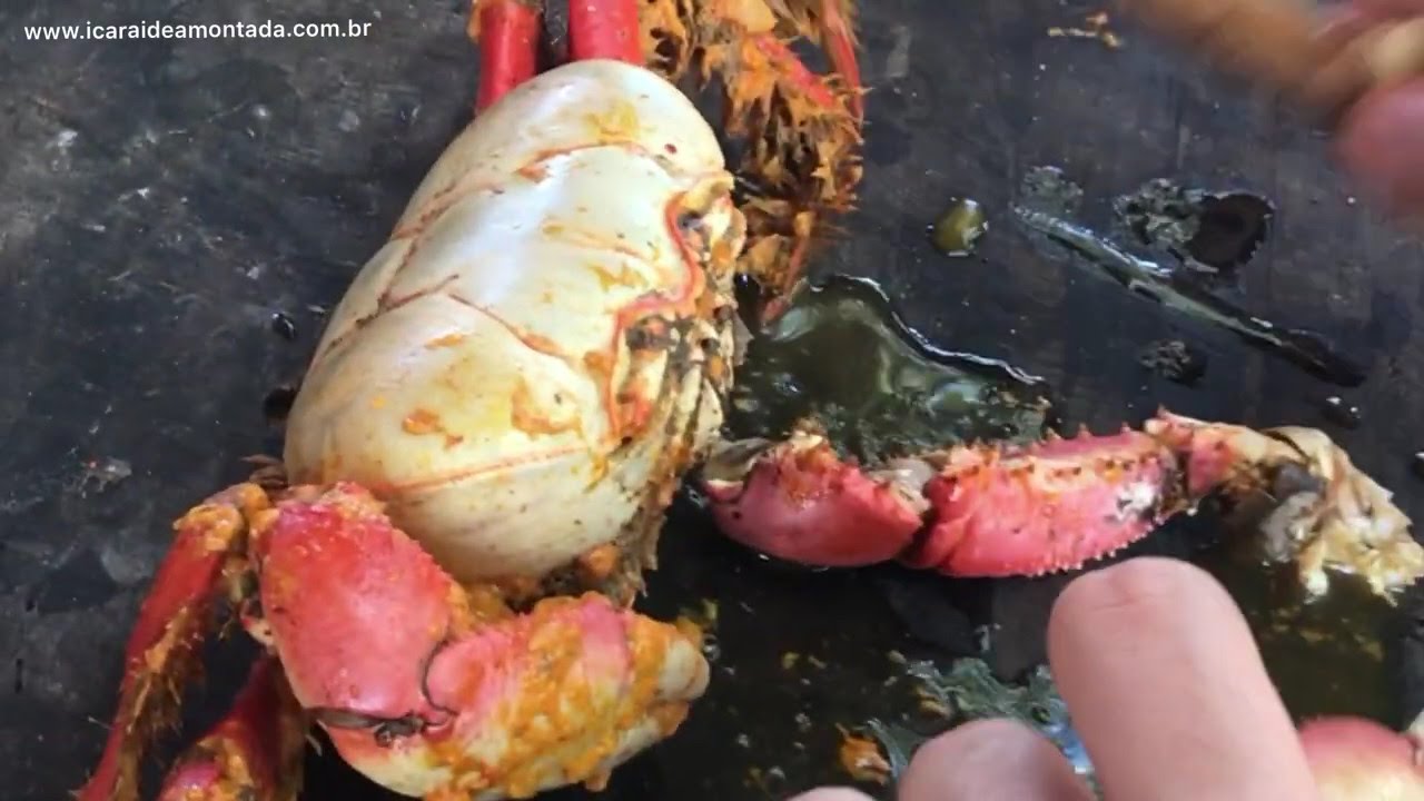 Aprenda a comer CARANGUEJO no Cear&aacute; - Icara&iacute; de Amontada (Icaraizinho)