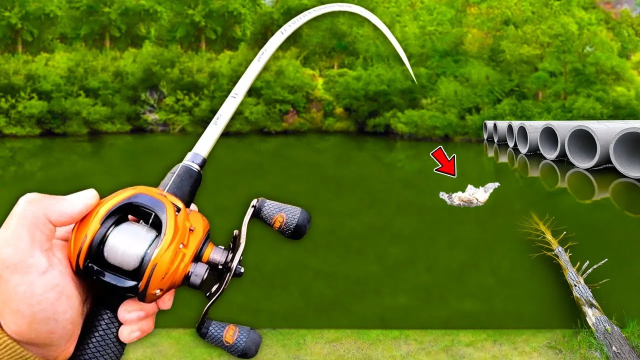 Fishing for MONSTER Bass in Backyard Pond! (Bed Fishing)