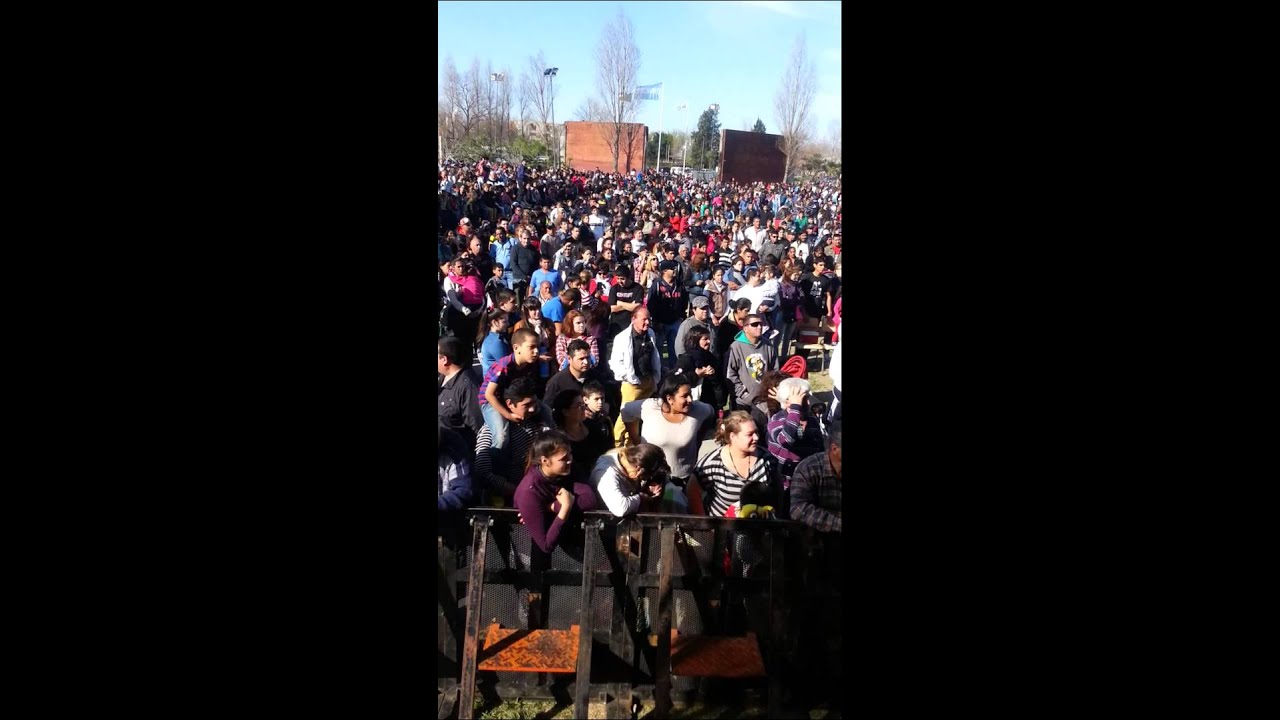 Humildad y Talento en tigre