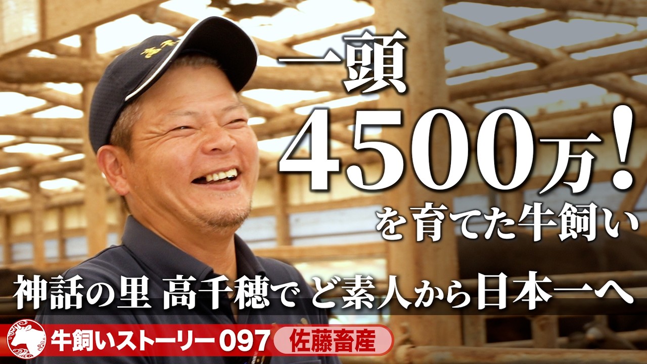 【宮崎：高千穂牛】ど素人からでも日本一の牛飼いへ！神話の里で育てる高千穂牛《牛旅wasabee 牛飼いストーリー097》