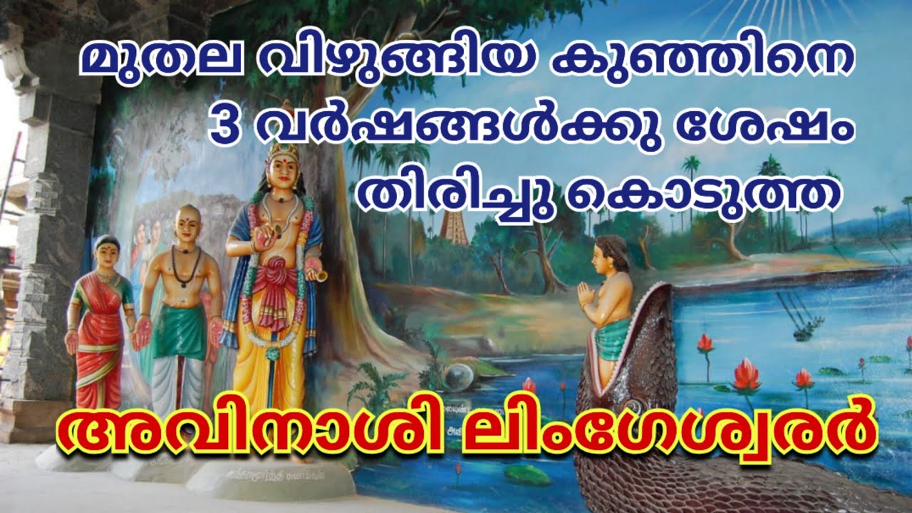 Avinashi Lingeswarar #temple #malayalam #history #stories #lordshiva #avinashi