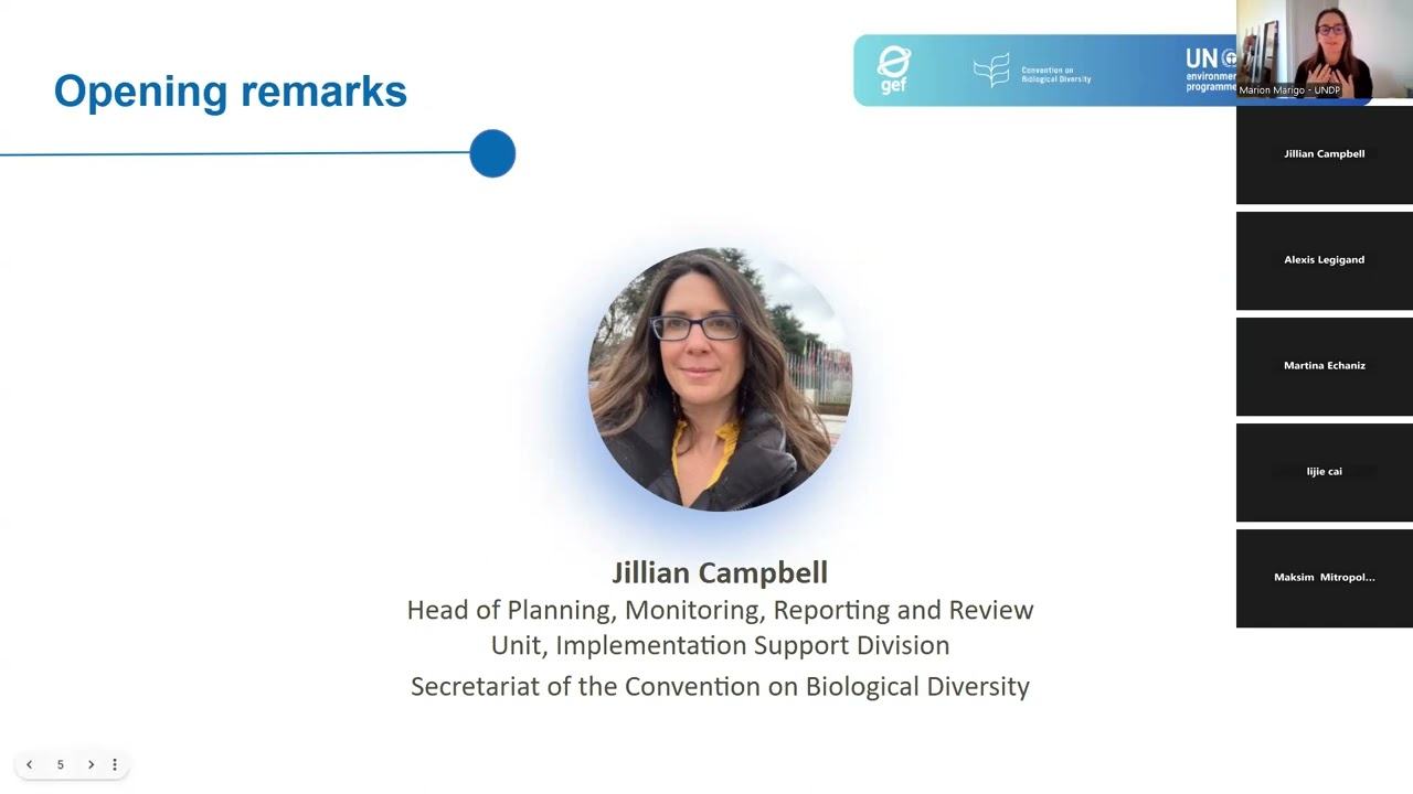 Webinar: Hands-on training on the Online Reporting Tool for the 7th National Report